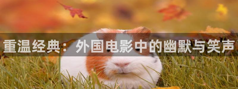 韩国理伦片秋霞网