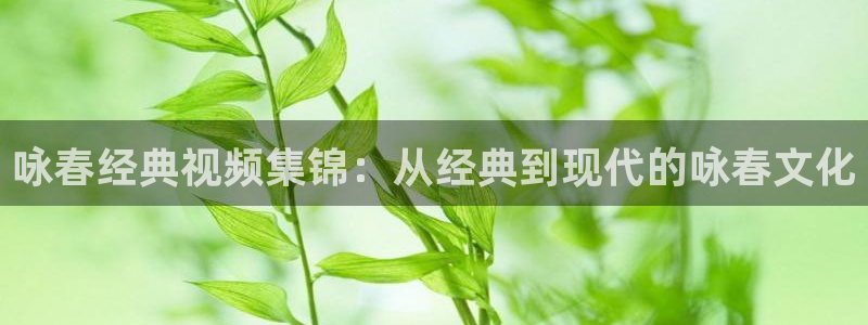 秋霞神马影院在线