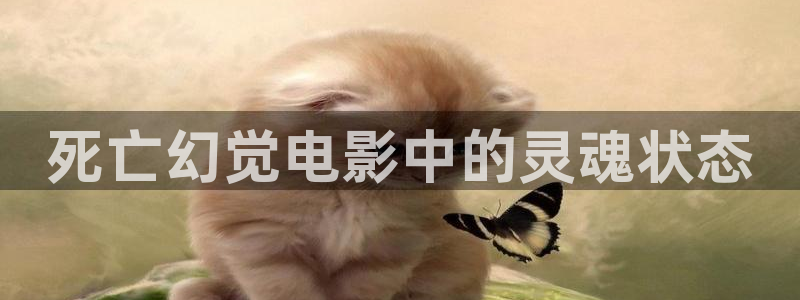 秋霞不卡影院
