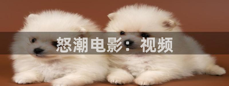 电影秋霞网伦理片