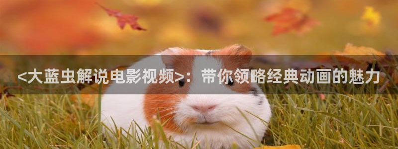 秋霞网午夜