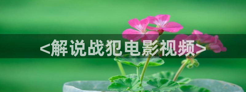 轮理片秋霞