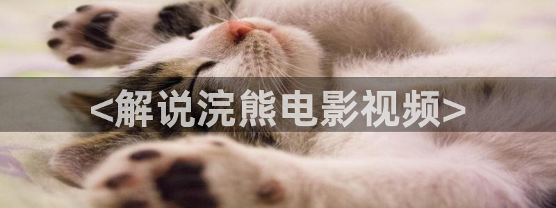 秋霞影院午夜伦理在线观看