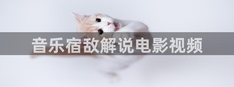 秋霞影院麻豆一区