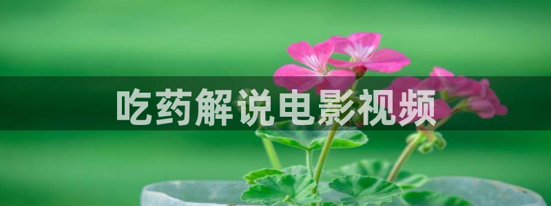 秋霞伦理手机电影网