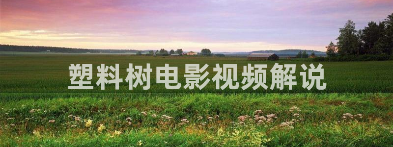 秋霞理仑片