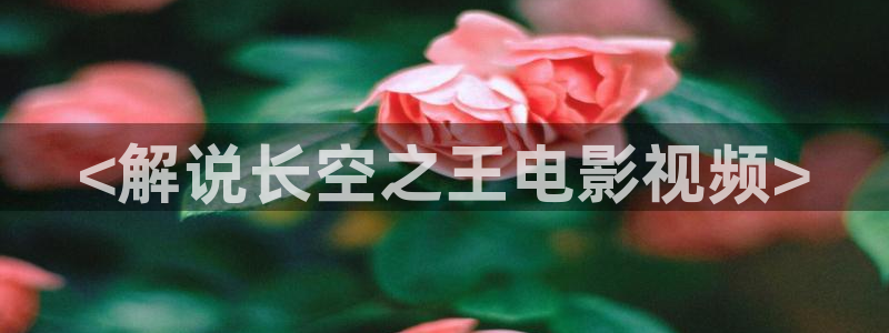 秋霞网高清在线观看视频