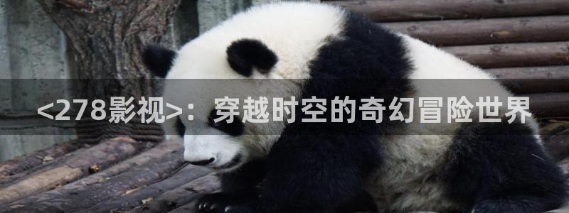 秋霞电影理伦网