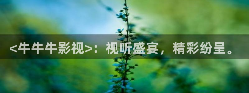 秋霞网旧版