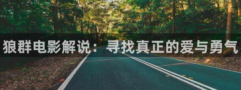 秋霞视频在线观看